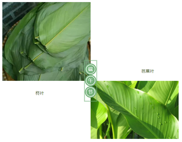 征途国际pg医纺