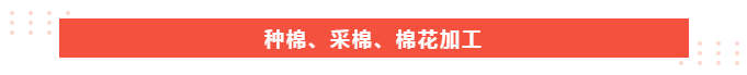 征途国际pg医纺